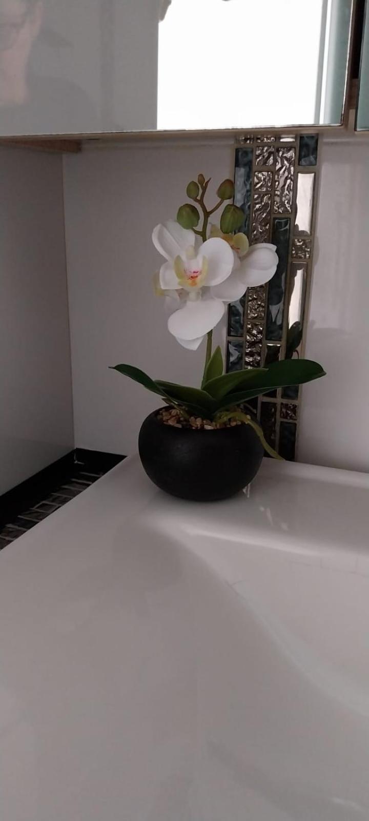 La Casa De Grace Apartment ซานเรโม ภายนอก รูปภาพ